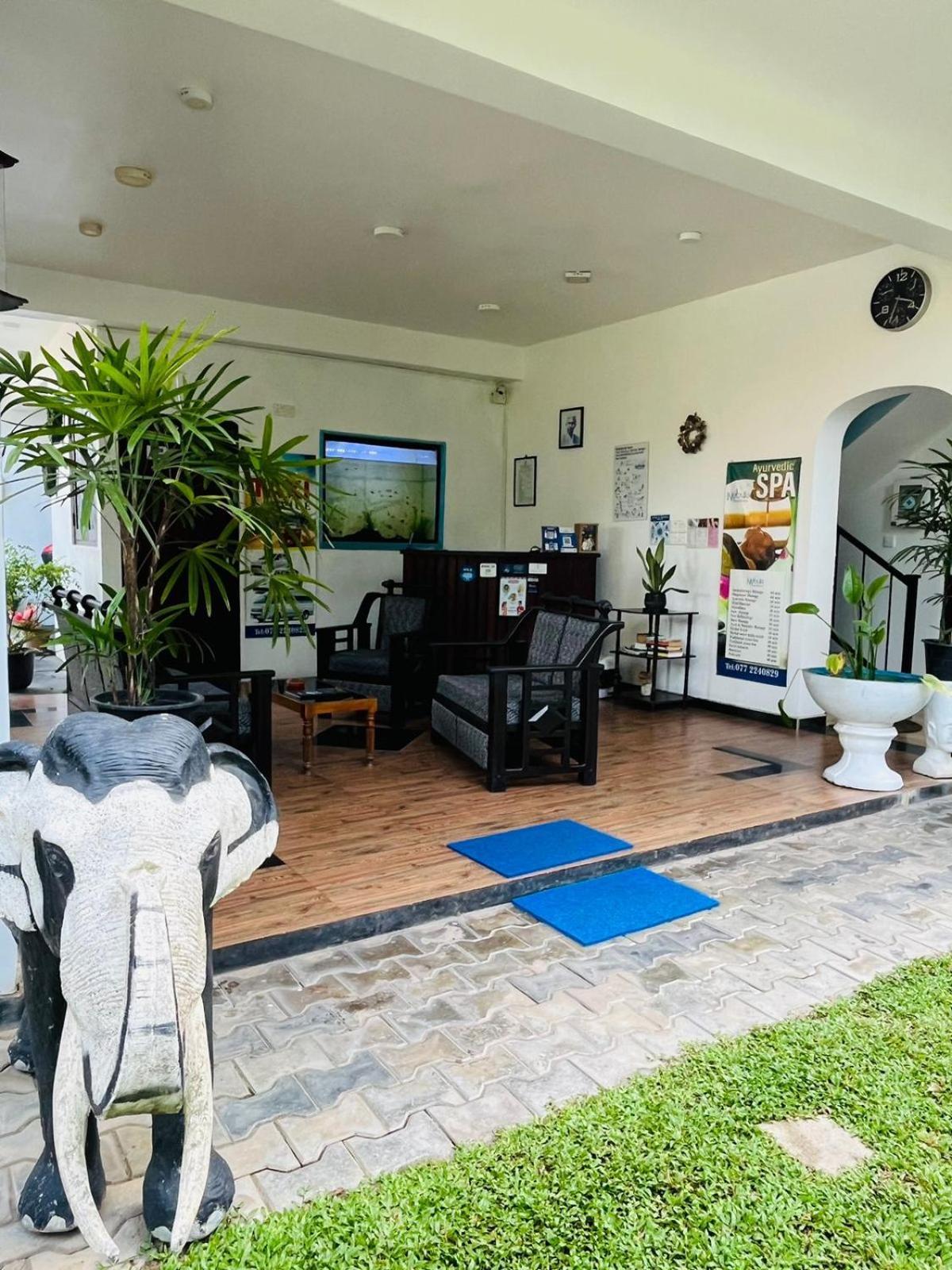 נגומבו Nebula Residence מראה חיצוני תמונה